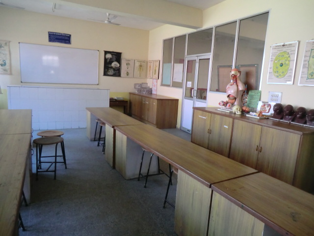 Vishwa bharti school